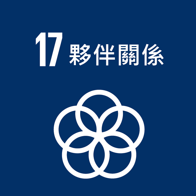 SDG17